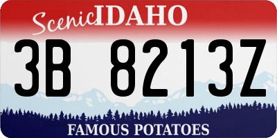 ID license plate 3B8213Z