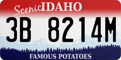 ID license plate 3B8214M