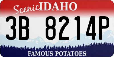 ID license plate 3B8214P