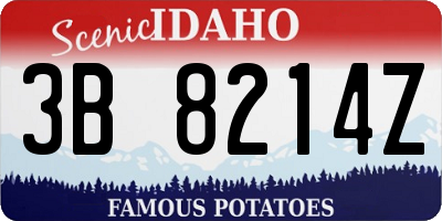 ID license plate 3B8214Z