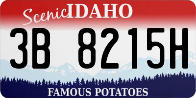 ID license plate 3B8215H