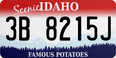 ID license plate 3B8215J