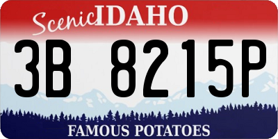 ID license plate 3B8215P