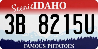 ID license plate 3B8215U