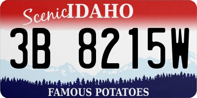 ID license plate 3B8215W