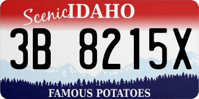 ID license plate 3B8215X