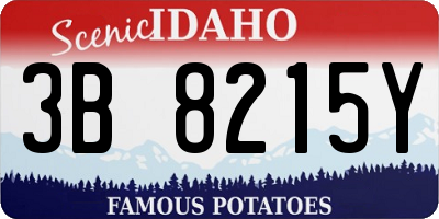 ID license plate 3B8215Y