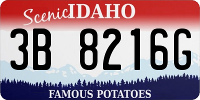 ID license plate 3B8216G