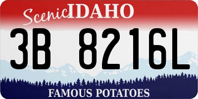 ID license plate 3B8216L