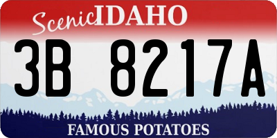 ID license plate 3B8217A