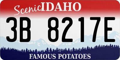 ID license plate 3B8217E