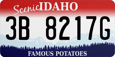 ID license plate 3B8217G