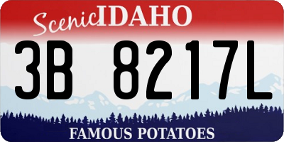 ID license plate 3B8217L