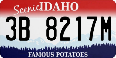 ID license plate 3B8217M