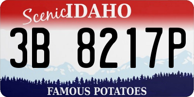 ID license plate 3B8217P