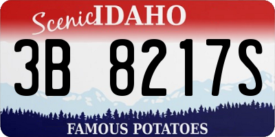 ID license plate 3B8217S