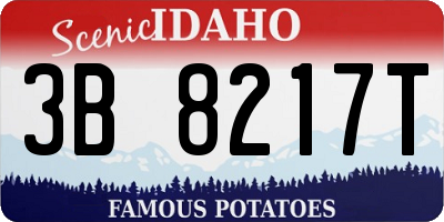 ID license plate 3B8217T