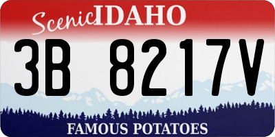 ID license plate 3B8217V