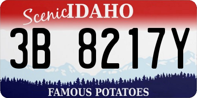 ID license plate 3B8217Y