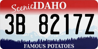 ID license plate 3B8217Z