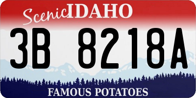 ID license plate 3B8218A