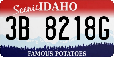 ID license plate 3B8218G