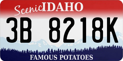 ID license plate 3B8218K