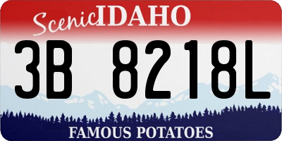 ID license plate 3B8218L