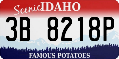 ID license plate 3B8218P