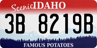 ID license plate 3B8219B