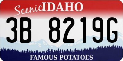 ID license plate 3B8219G