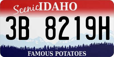 ID license plate 3B8219H