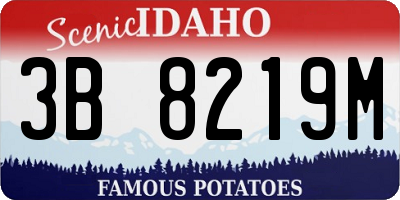 ID license plate 3B8219M