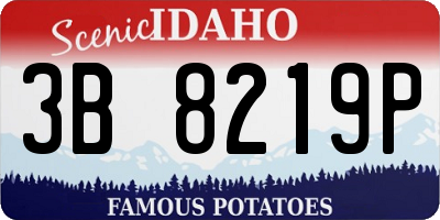 ID license plate 3B8219P