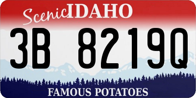 ID license plate 3B8219Q
