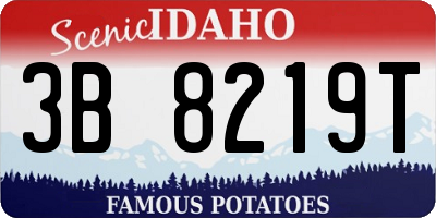 ID license plate 3B8219T