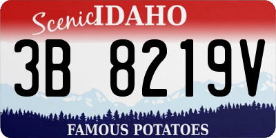 ID license plate 3B8219V