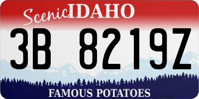 ID license plate 3B8219Z