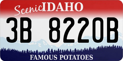 ID license plate 3B8220B