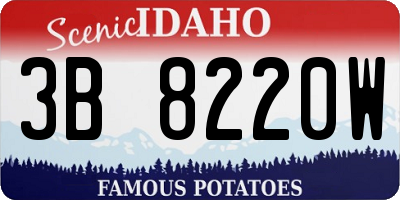 ID license plate 3B8220W