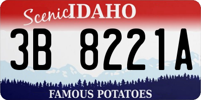 ID license plate 3B8221A