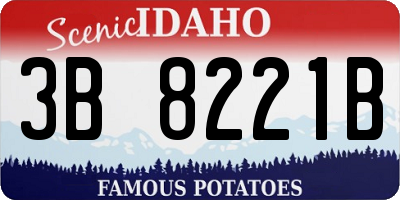 ID license plate 3B8221B
