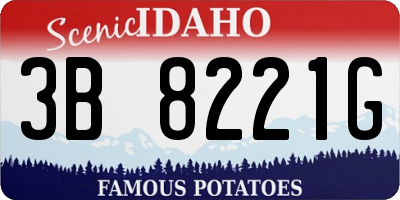 ID license plate 3B8221G