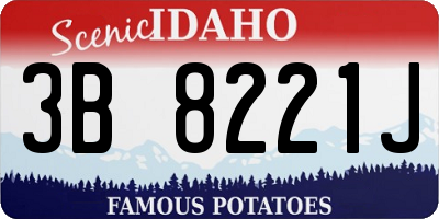 ID license plate 3B8221J