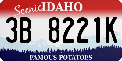 ID license plate 3B8221K