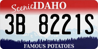 ID license plate 3B8221S