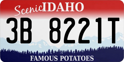 ID license plate 3B8221T