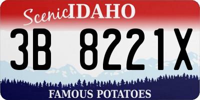 ID license plate 3B8221X
