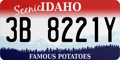 ID license plate 3B8221Y