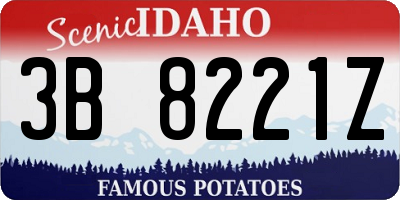 ID license plate 3B8221Z